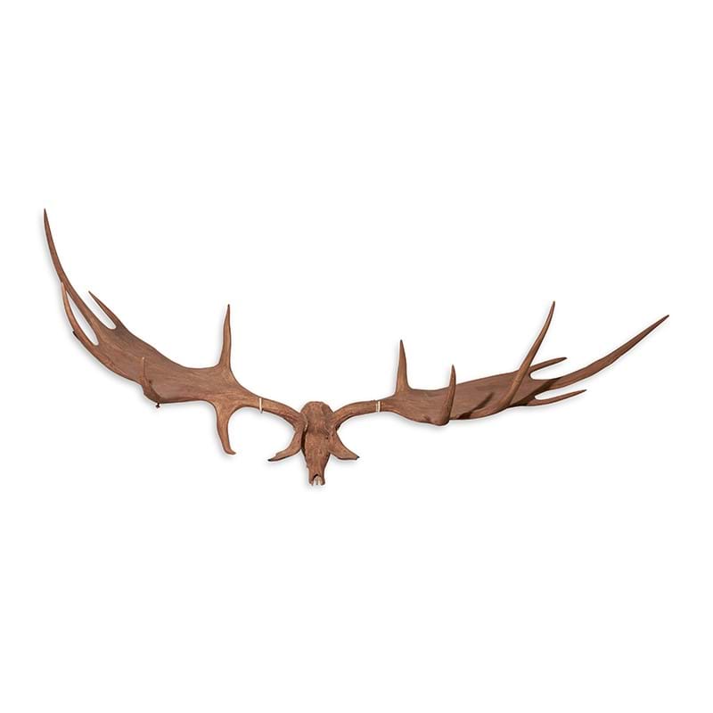 A monumental pair of 'Irish elk' or giant deer antlers (Megaloceros Giganteus) in part Pleistocene period, circa 10,500bc to 8,000bc, and later