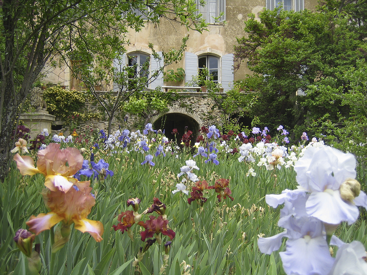 © Tessa TraegerIMG_9789 (1) copy.jpg