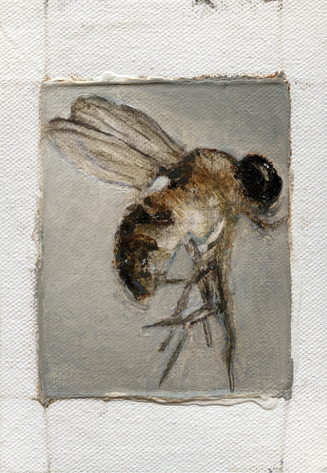 Inline Image - Lot 15: Tomas Harker, 'Drosophila Hydei, 2023', Oil on canvas | Bidding starts at £50