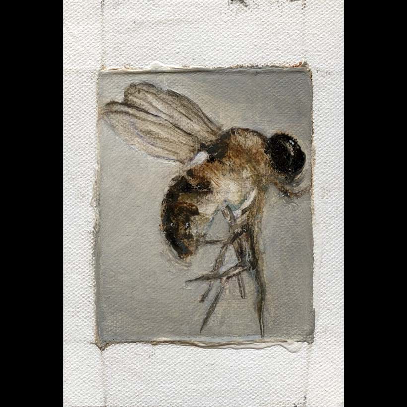 Inline Image - Lot 15: Tomas Harker, 'Drosophila Hydei, 2023', Oil on canvas | Bidding starts at £50