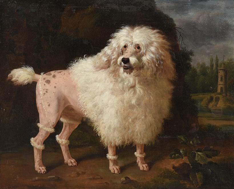 Inline Image - School Of Jean-Baptiste Oudry (French 1686-1755), ‘Portrait Of A Poodle’, Oil on canvas | Est. £6,000-8,000 (+ fees)