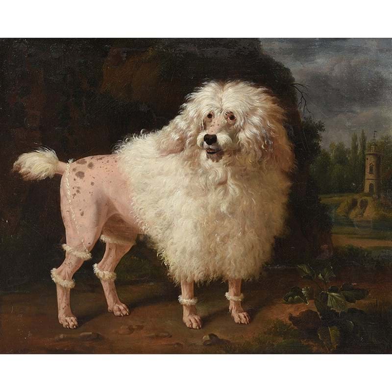 School Of Jean-Baptiste Oudry (French 1686-1755), ‘Portrait Of A Poodle’