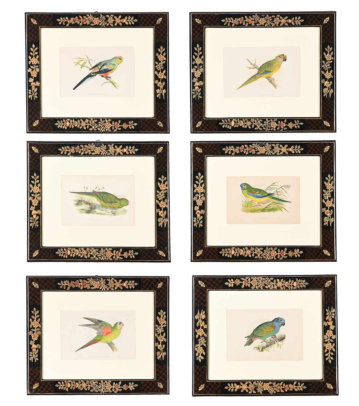 Inline Image - Lot 338: British School (20th Century), 'A set of six coloured engravings of parrots and parakeets', Engraving coloured with bodycolour | Est. £300-500 (+ fees)