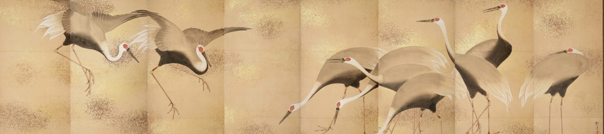 Finch & Co: A Cabinet of Curiosities | Thursday 5 December 2024