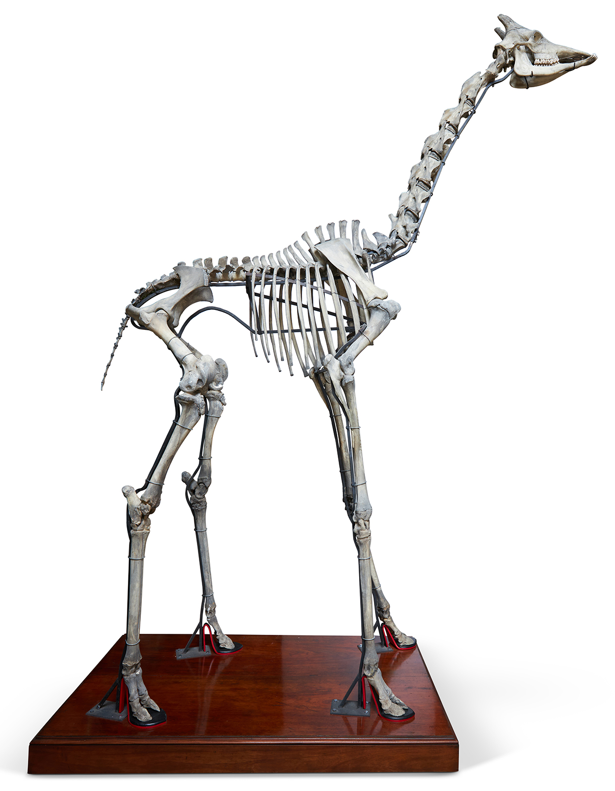 Inline Image - Lot 173: James Perkins Studio, 'The Model' | Est. £10,000-15,000 (+ fees)