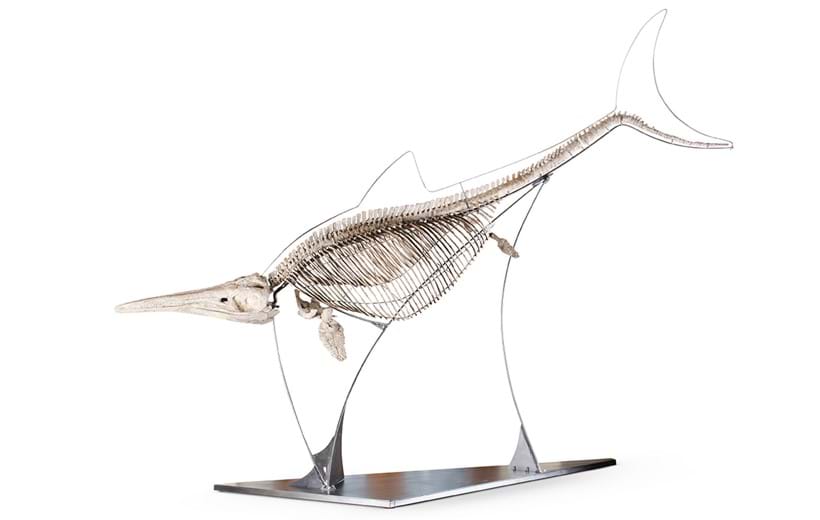 Inline Image - Lot 57: ‡ Ichthyosaur (Stenopterygius Sp), Toarcian, Lower Jurassic, (ca. 195 MA) | Est. £120,000-180,000 (+ fees)