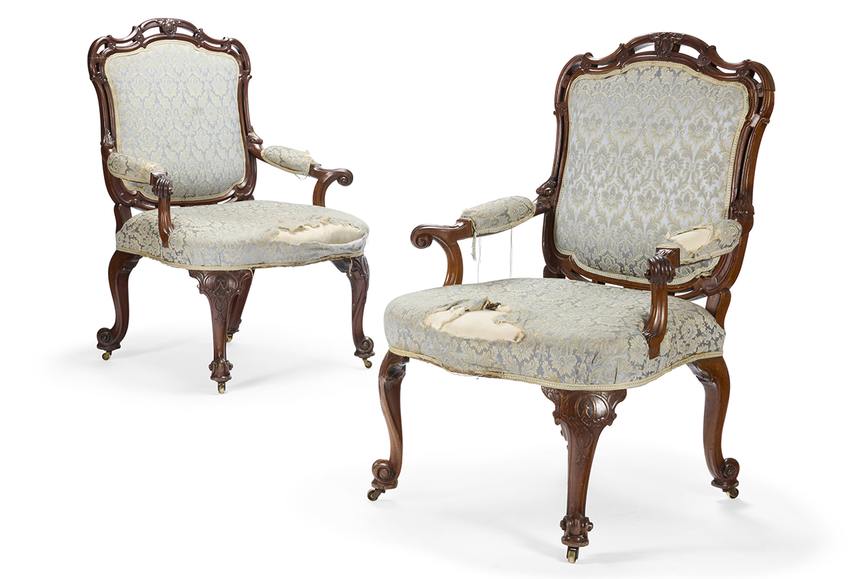 Powderham highlight 2.jpg