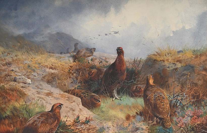 Inline Image - Lot 315: Archibald Thorburn (Scottish 1860-1935), Gathering Storm, watercolour, signed and dated '1894' (lower centre) | Est. £25,000-35,000 (+ fees)