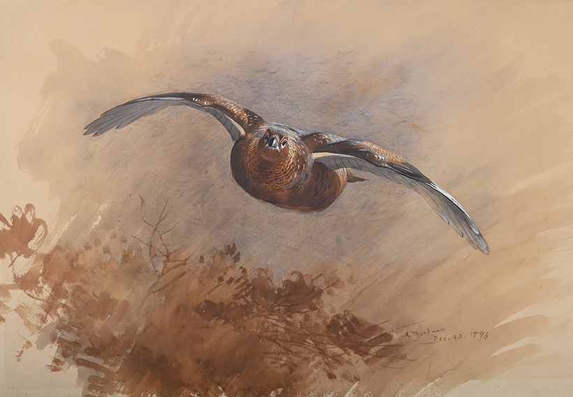 516111-7 resized.jpg