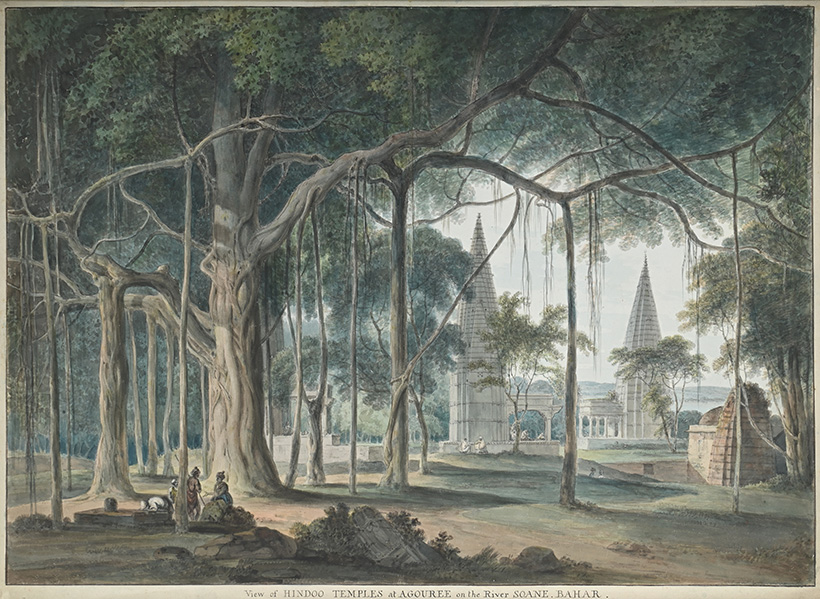 516487-2 resized.jpg