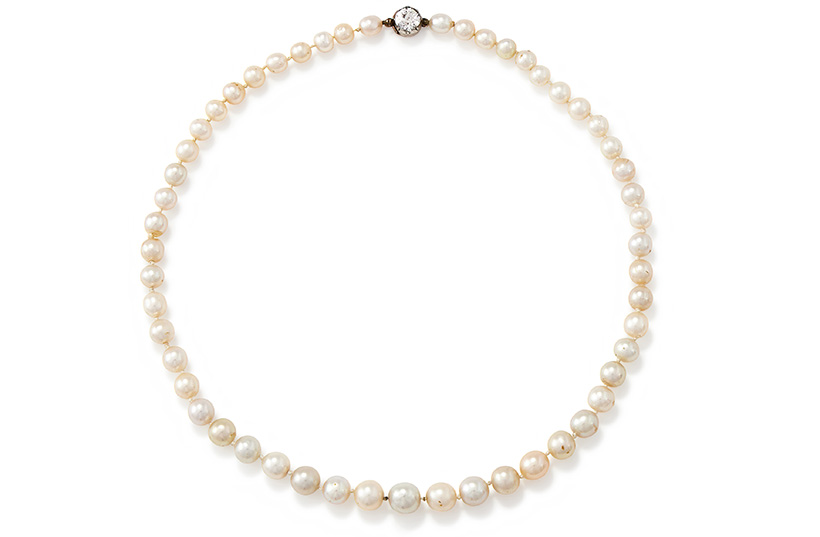 516430-1 resized.jpg