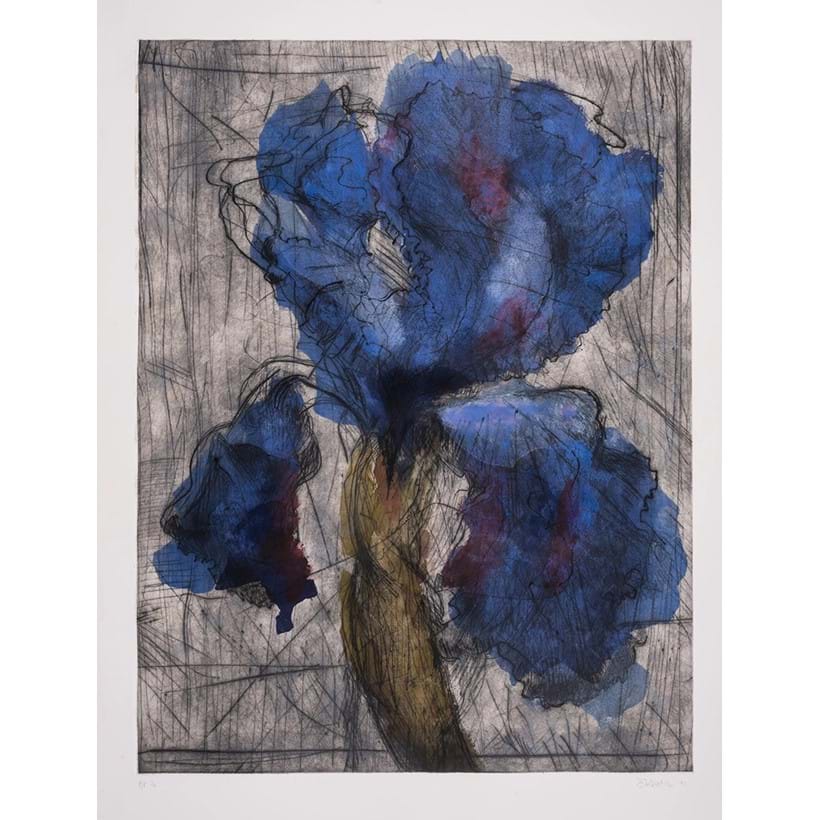 Inline Image - Lot 75: William Kentridge (b.1955), 'Iris', Etching with aquatint printed in colours with extensive hand-colouring in watercolour, 1992, signed, dated and inscribed | Estimate £15,000-20,000 (+ fees)