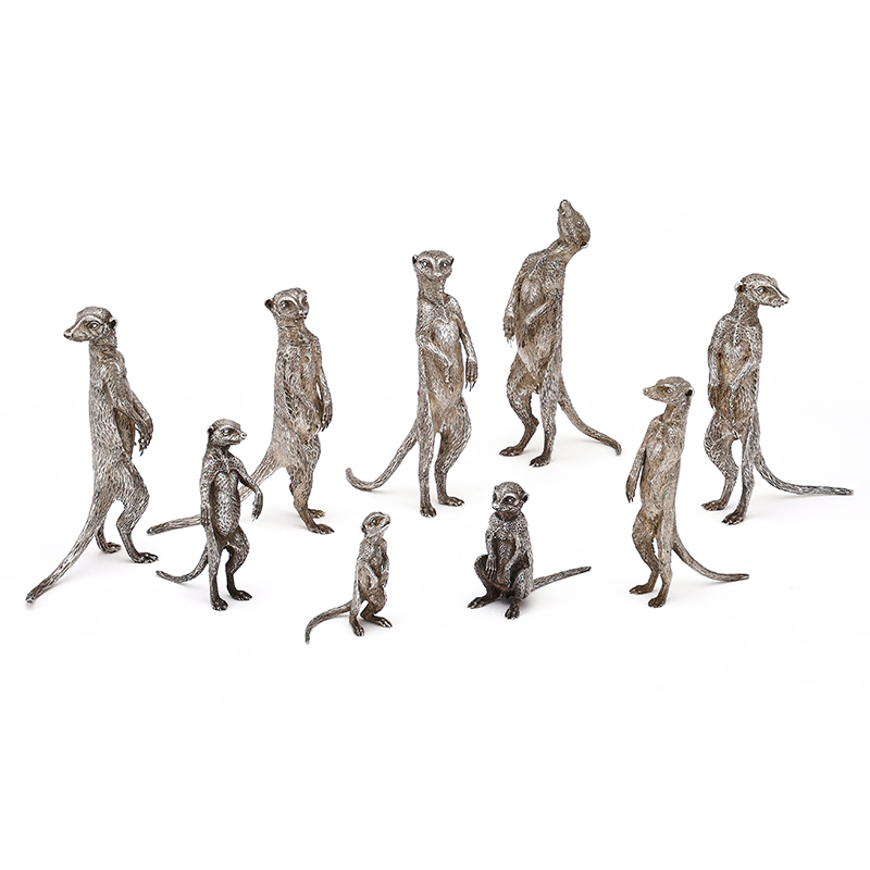 A mob of nine silver meerkats, Patrick Mavros, Zimbabwe circa 2002
