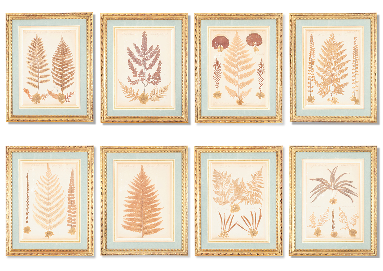 Lot 25 - A SET OF EIGHT PRESSED NEW ZEALAND FERN PICTURES EARLY 20TH CENTURY.jpg