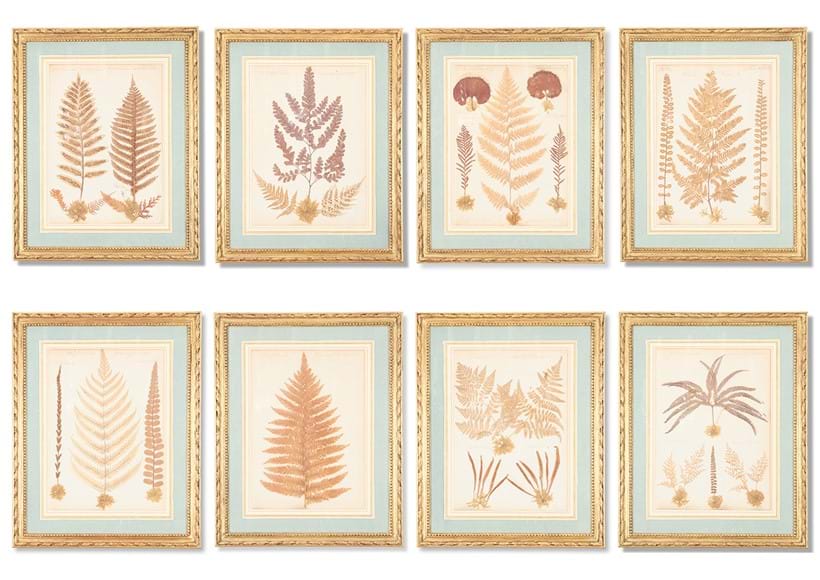 Inline Image - Lot 25: A set of eight pressed New Zealand fern pictures early 20th century | Sold for £6,096