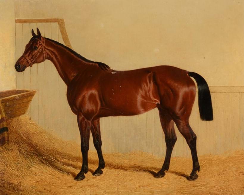Inline Image - John Frederick Herring Senior (British 1795-1865), 'Miss Letty', oil on canvas; est. £5,000-7,000 (+fees)