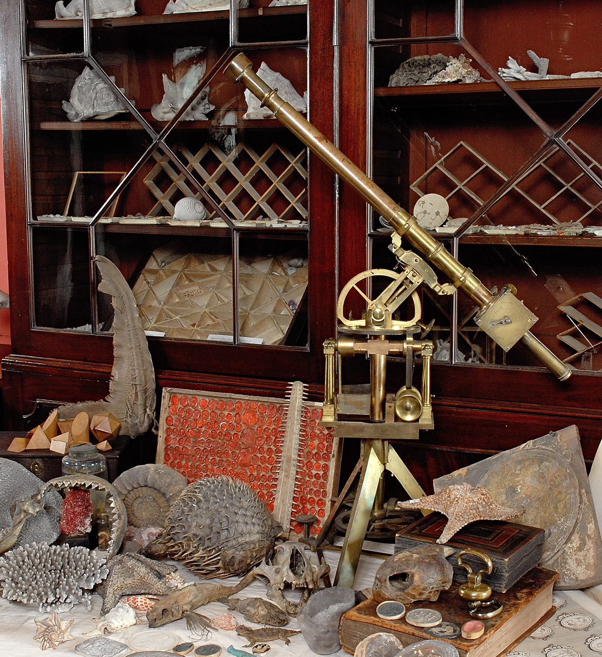 Inline Image - The Cabinet of Curiosities at Burton Constable Hall