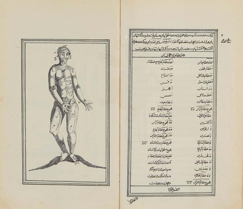 Inline Image - A Qajar Anatomical Treatise, dedicated to Nasir al-Shah 
Lithographed in Farsi and Arabic, [Probably Tehran, Iran, dated 1272 AH (1855-56 AD)]; est. £500-700, sold for £6,200