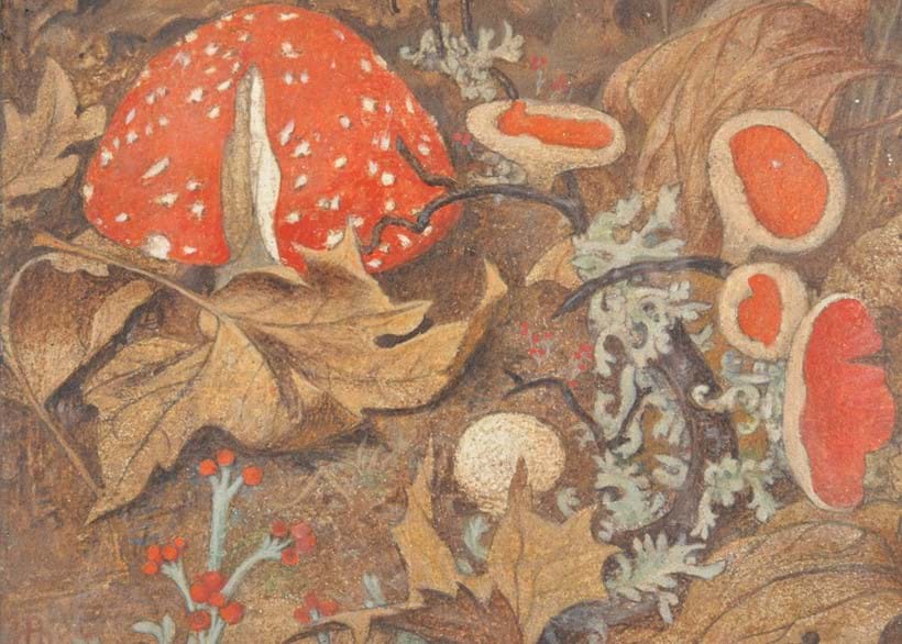 Inline Image - Lot 187, Maxwell Ashby Armfield (British 1882-1972), Funghi No. 1;. to be offered with Funghi No. 2, egg tempura on copper; 
est. £4,000-6,000 (+fees)