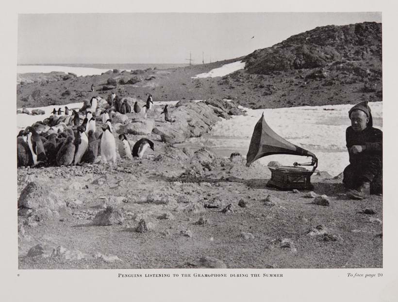 Inline Image - E.H. Shackleton, The Heart of the Antarctic | 2 volumes, photographic frontispieces, 208 plates | William Heinemann, 1909 | with five other polar related titles | est. £200-300, sold for £471
