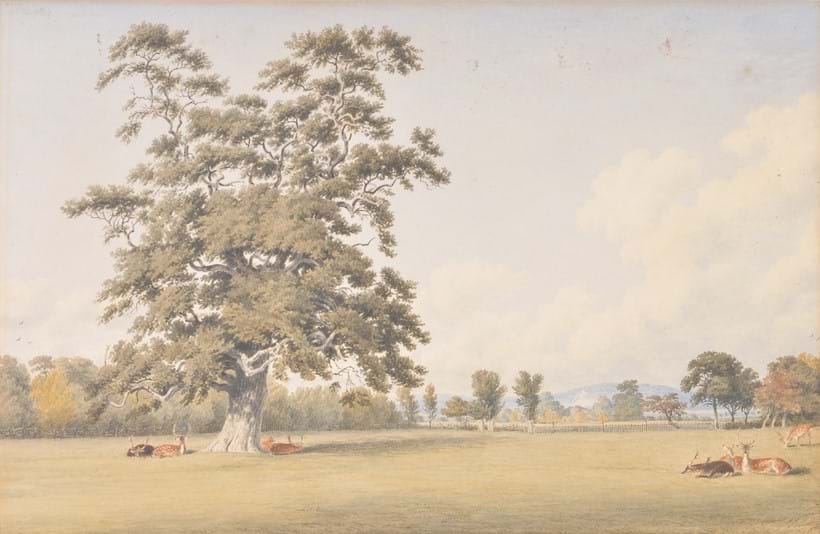 Inline Image - Lot 45: William Turner of Oxford (British 1789-1862), View near Whiteleaf Cross, Bucks, watercolour, 21 x 32.5cm (8¼ x 12¾ in.) 
Provenance: Frank T. Sabin, London | Sold for £930