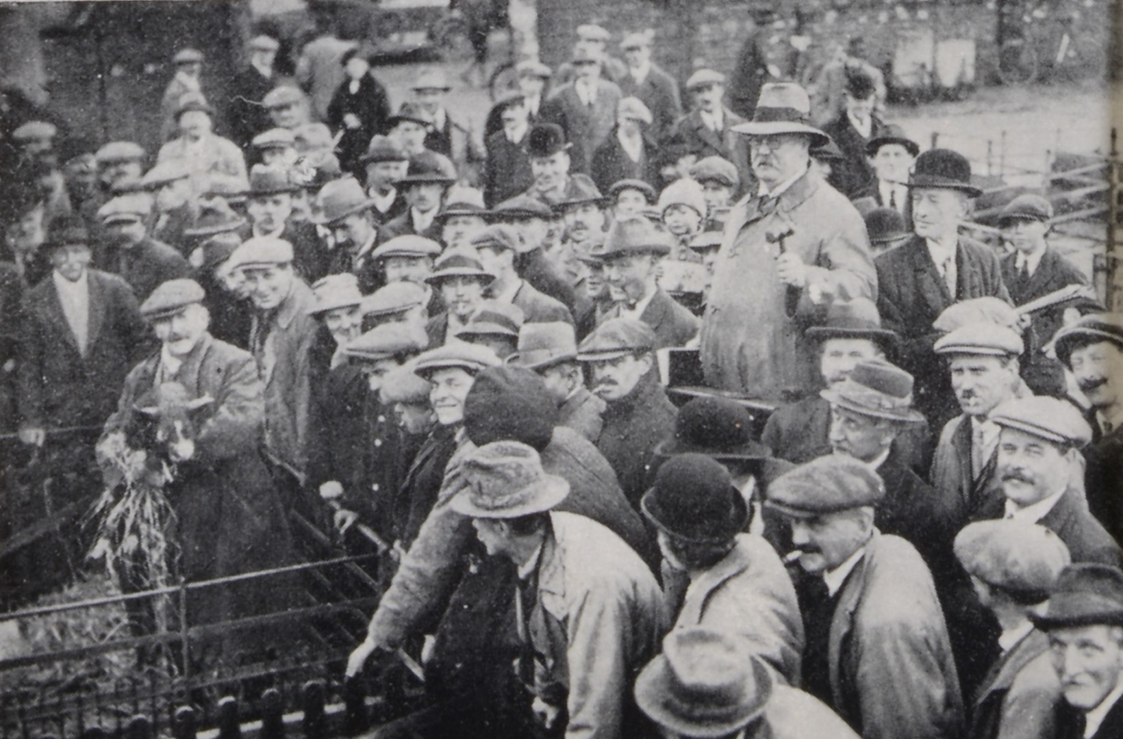 Arthur T Watson selling pigs in Newbury Cattle Market 1920s (Large).jpg