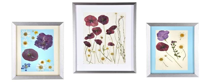 Inline Image - Lot 29: Mary Hare – Children’s Art 2 Untitled (Pressed flowers) Pressed flowers, glue and card, a pair Each 21 x 14.5cm (81⁄4 x 51⁄2 in.) Together with a larger work of pressed poppies and shasta daisies 39 x 29cm(15 3/8 x 11 1/2in.) (3)