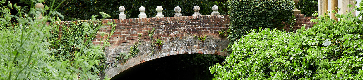 The Summer Sale | 21 August 2019