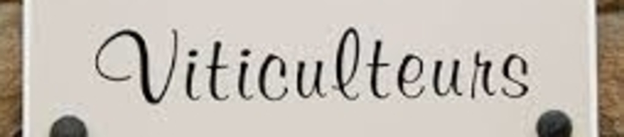 Meursault: Domaine Coche-Dury and Domaine des Comtes Lafon