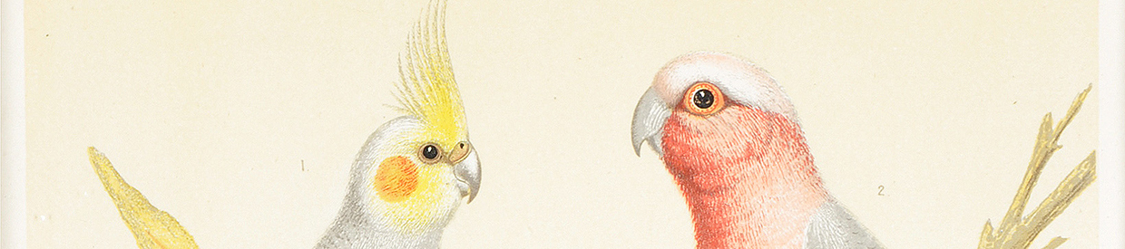 5 unique Christmas gift ideas from December’s Interiors Sale