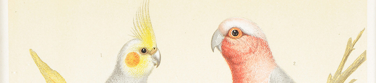 5 unique Christmas gift ideas from December’s Interiors Sale