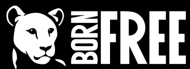 Dreweatts help support Born Free to raise vital funds for critical elephant projects in Africa