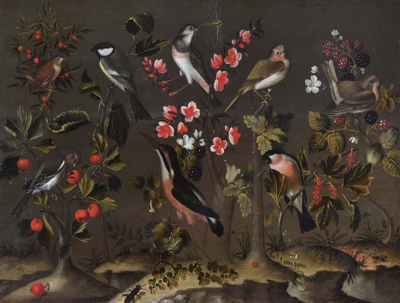 Inline Image - Attributed to Charles Collins (British c1680-1744), 'Study of birds, flowers and insects', Oil on panel | Sold for £25,000