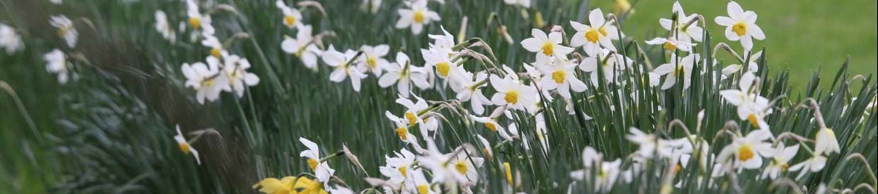 This is the time to be slow