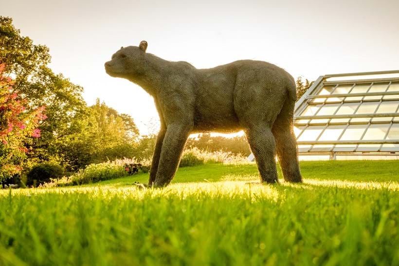 Inline Image - Lot 295: λ Kendra Haste MRSS, Brown Bear (Grizzly), 2015, Steel armature and painted galvanised wire | Est. £25,000-35,000 (+fees)