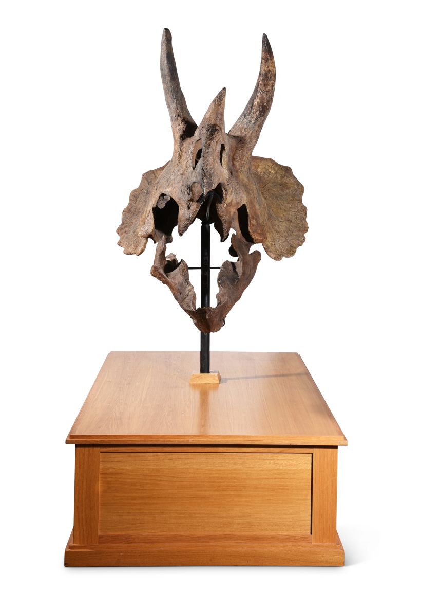 505730-1_f web 820 width.jpg