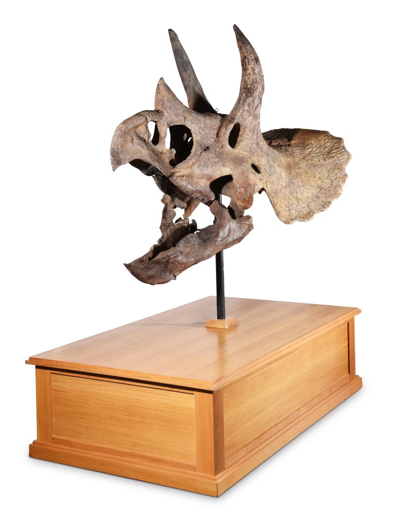 505730-1_h web 820 width.jpg