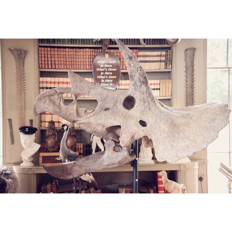 The skull of a Triceratops | Aynhoe Park: The Celebration of A Modern Grand Tour