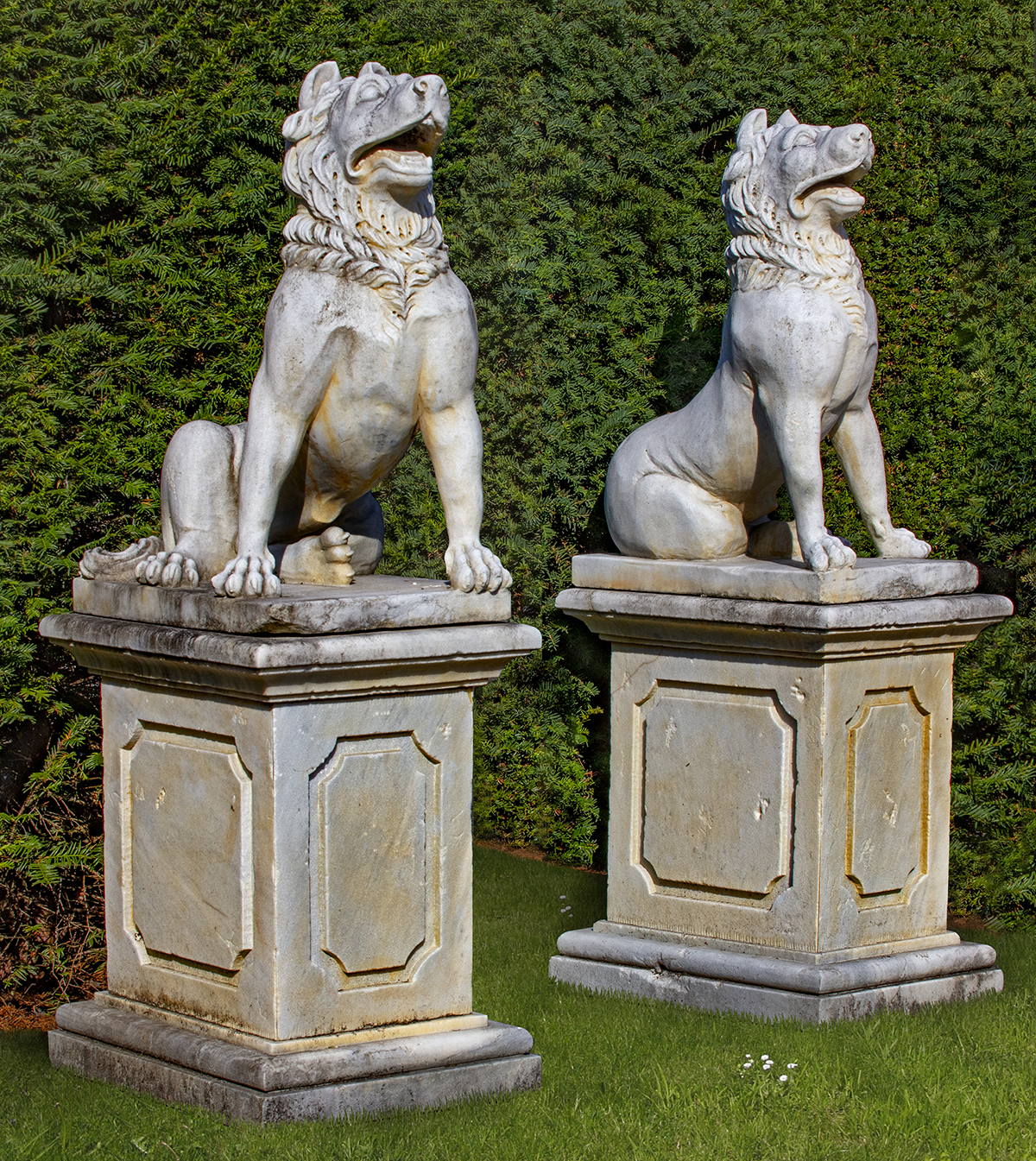 Inline Image - Lot 124: A pair of sculpted marble models of Molossian guard dogs, after a 2nd century AD Roman model, the 'Jennings Dog' or the 'Dog of Alcibiades' | Est. £12,000-15,000 (+fees)