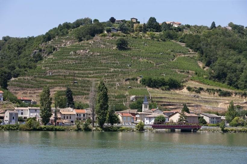 Inline Image - Chateau Grillet