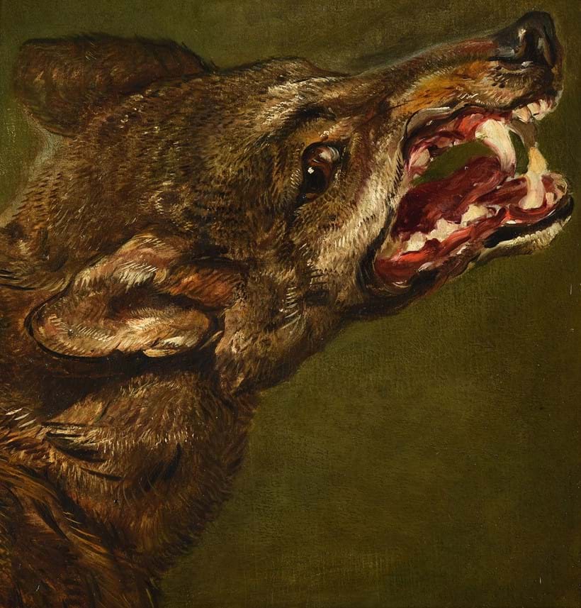 Inline Image - Lot 32: Jan Fyt (Flemish 1611-1661), 'Head of a wolf', Oil on canvas | Est. £2,500-3,500 (+ fees)