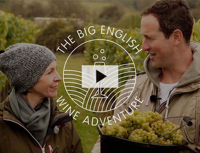 Watch the video | Susie Barrie & Peter Richards: The Big English Wine Adventure