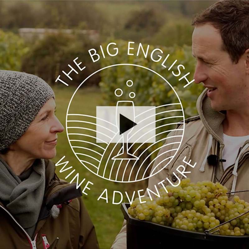 Watch the video | Susie Barrie & Peter Richards: The Big English Wine Adventure