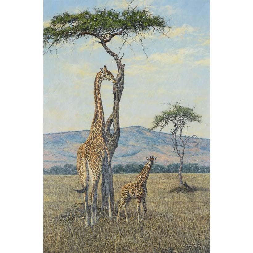 Inline Image - Lot 139: Larry Norton (Zimbabwean b.1963), 'Giraffes on the Savanna', Oil on canvas | Est. £700-1,000 (+ fees)