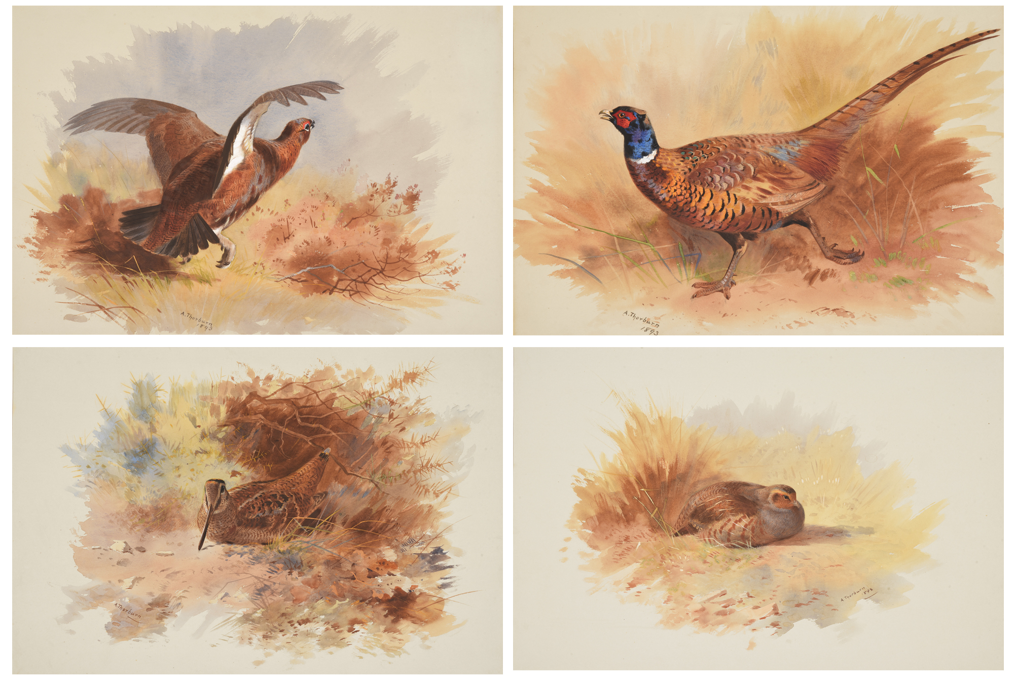 Archibald Thorburn (1860-1935) | Old Masters, British and European Art Auction | 26 May 2022