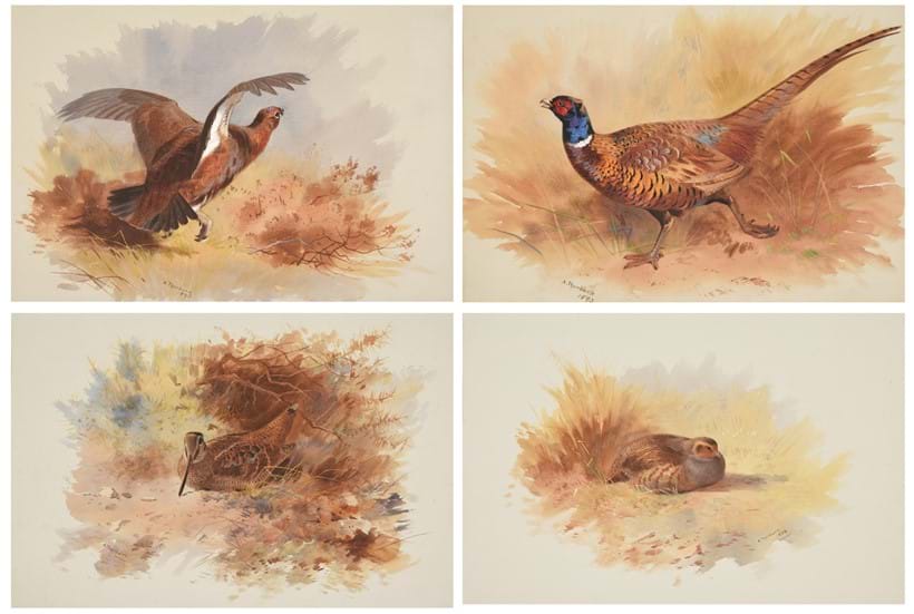 Inline Image - Lot 222: Archibald Thorburn (British 1860-1935), 'A set of four game birds', Watercolour | Est. £40,000-60,000 (+ fees)