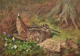 Archibald Thorburn (1860-1935) | Old Masters, British and European Art Auction | 26 May 2022 Image