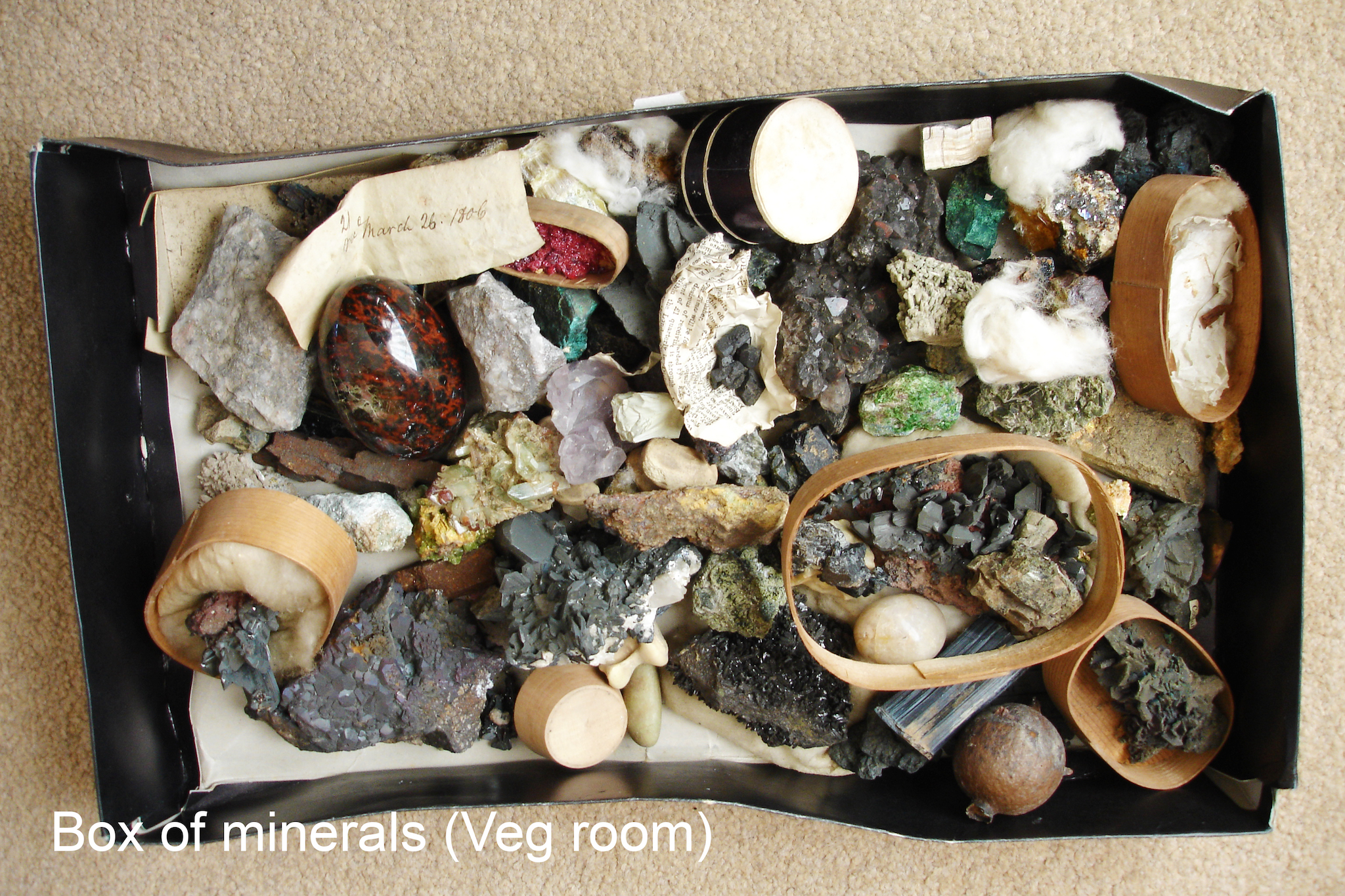 Caerhays Castle minerals collections award.jpeg