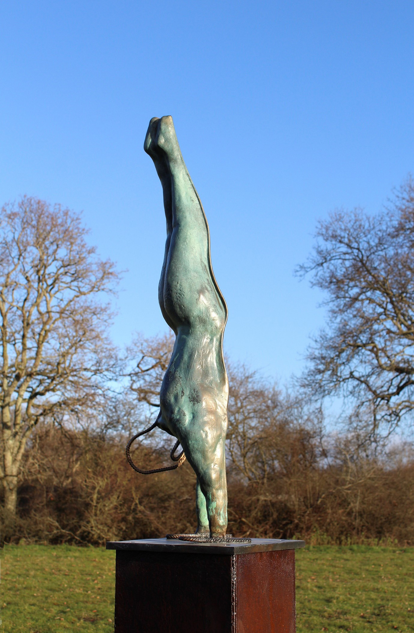 Inline Image - Steve Bicknel