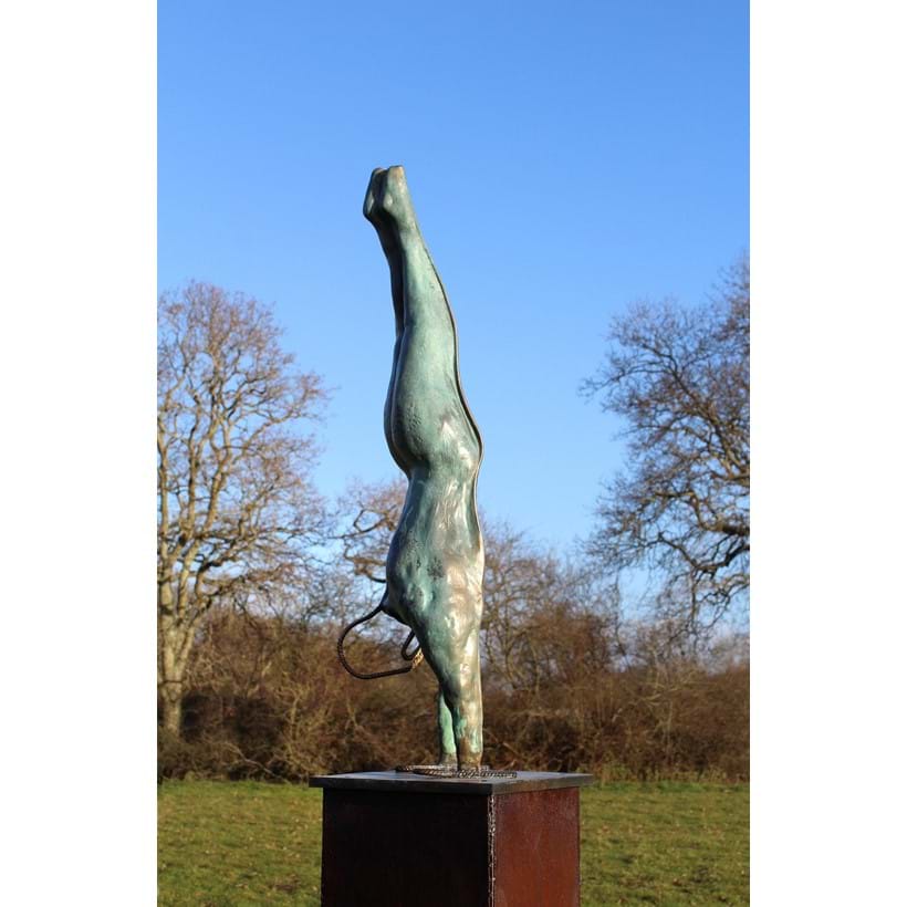 Inline Image - Steve Bicknel